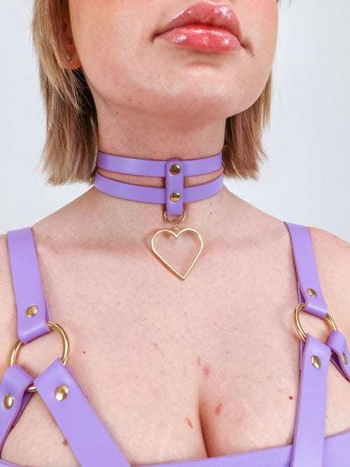 DAISY HEART CHOKER