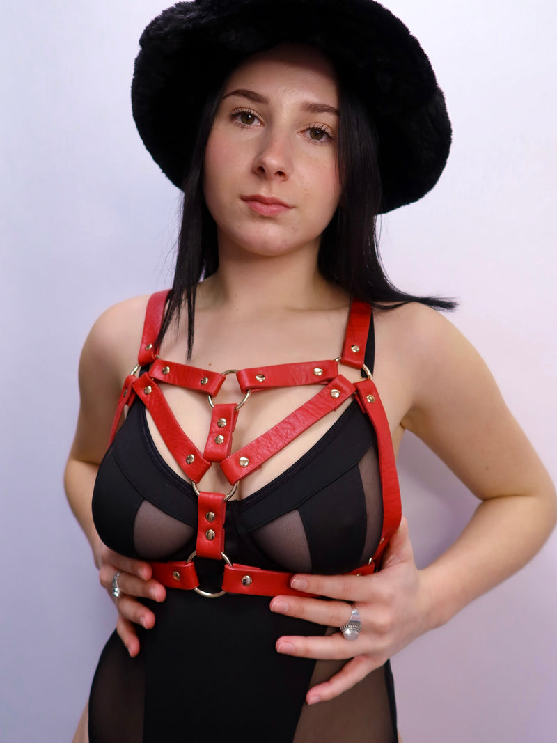 ALEX CHEST HARNESS - SMALL/MID